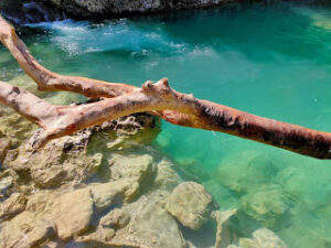 Kolam Lihu Nunu Btn Kolhua, Kota Kupang-Nusa Tenggara Timur, Indonesia 11 KOLAM LIHU NUNU BTN KOLHUA KOTA KUPANG NUSA TENGGARA TIMUR INDONESIA 01