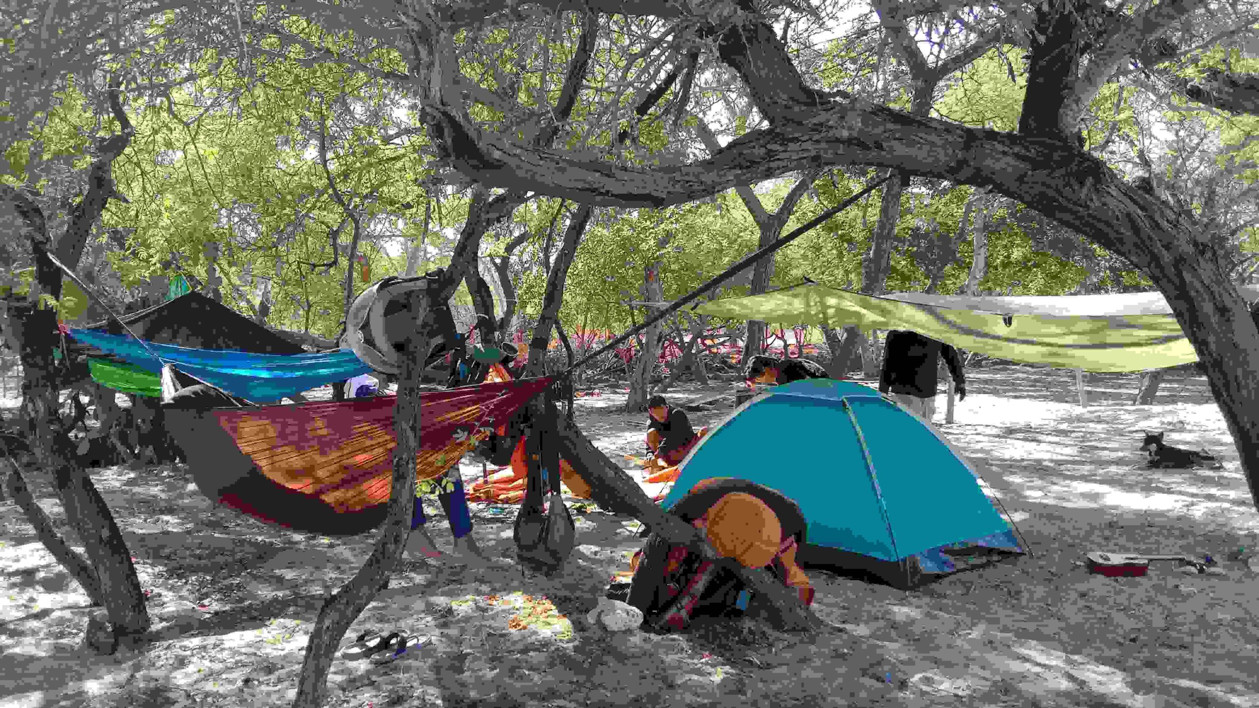 Eksotisnya Pantai Puru, Merbaun,Kec. Amarasi Barat, Kab. Kupang 8 4 scaled