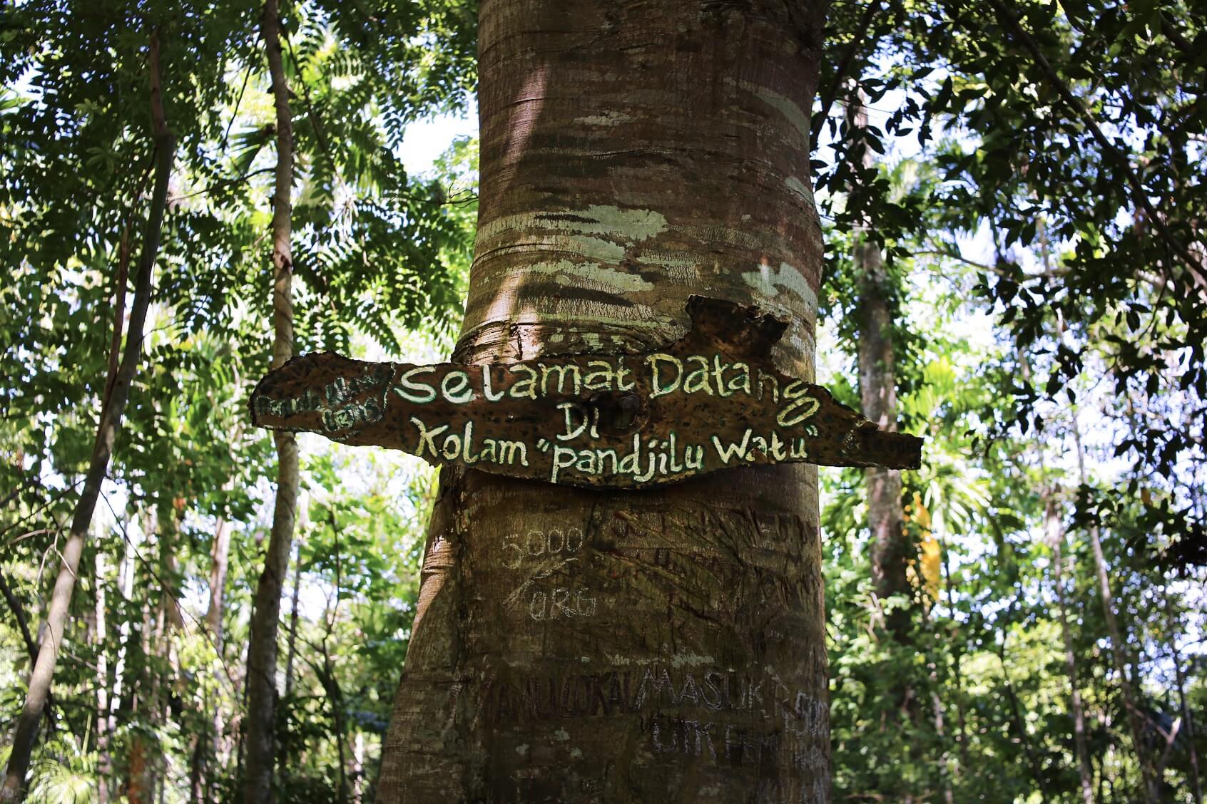 Lepas Gerah Waingapu di Pandjilu Watu 2 Lokasi Wisata Kolam Pandjilu Watu