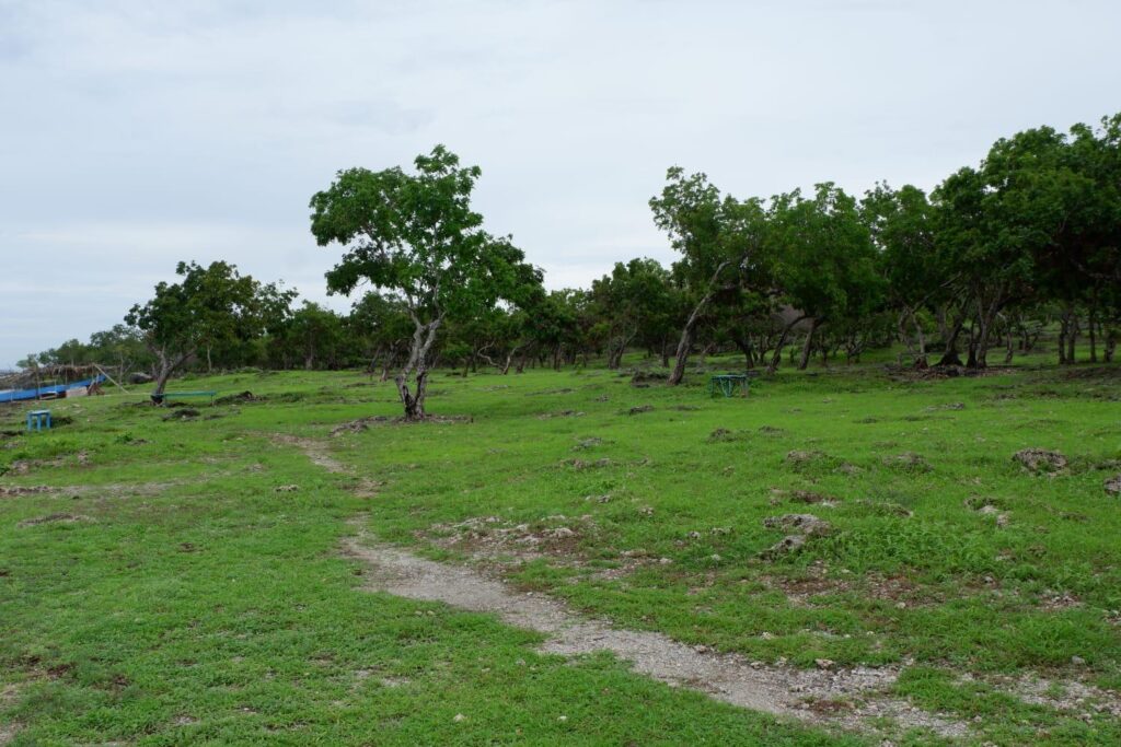 Area sekitar pantai Kelapa Satu Kota Kupang