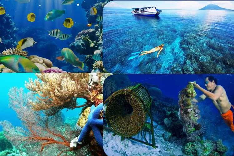 Screenshot 2023 09 16 16 59 09 29 1c337646f29875672b5a61192b9010f9 3047965019